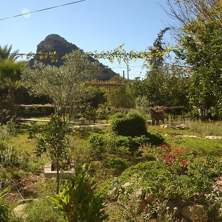 Yalili Holiday home *